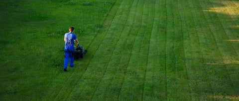 Aerial view of lawn mowing
